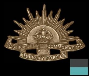 Regiment / Corps / Service Badge: Australian Infantry