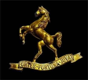 Regiment / Corps / Service Badge: Wellington Mounted Rifles