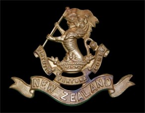 Regiment / Corps / Service Badge: Wellington Regiment