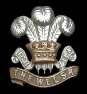 Regiment / Corps / Service Badge: Welsh Regiment